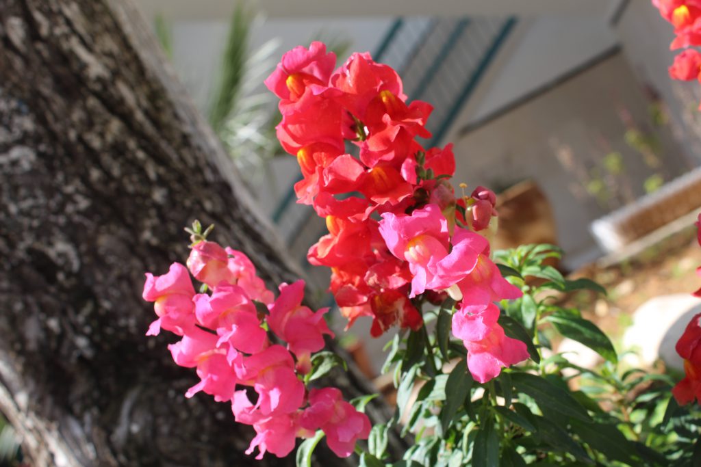 الطبيعة بعيني by imam ndeem zamel - Illustrated by امام زامل - Ourboox.com