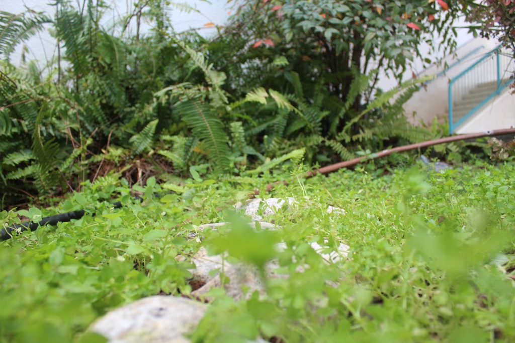 الطبيعة بعيني by imam ndeem zamel - Illustrated by امام زامل - Ourboox.com