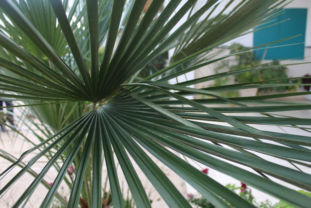 الطبيعة بعيني by imam ndeem zamel - Illustrated by امام زامل - Ourboox.com