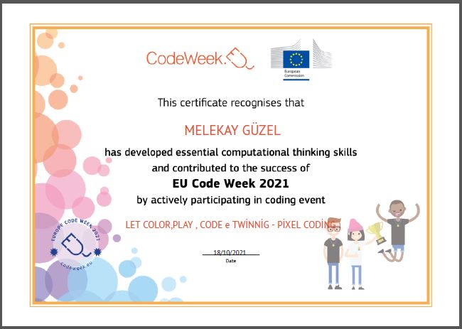 Let’s Color Play Code e Twinning Project – Code Week Certificates for Pixel Coding Studies by sukran  - Illustrated by Şükran Yenigelen - Ourboox.com