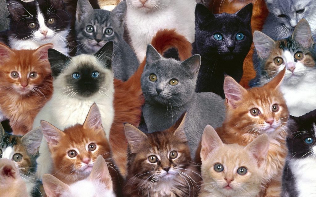 аааааааааааааа by Switlana Zalozna - Ourboox.com