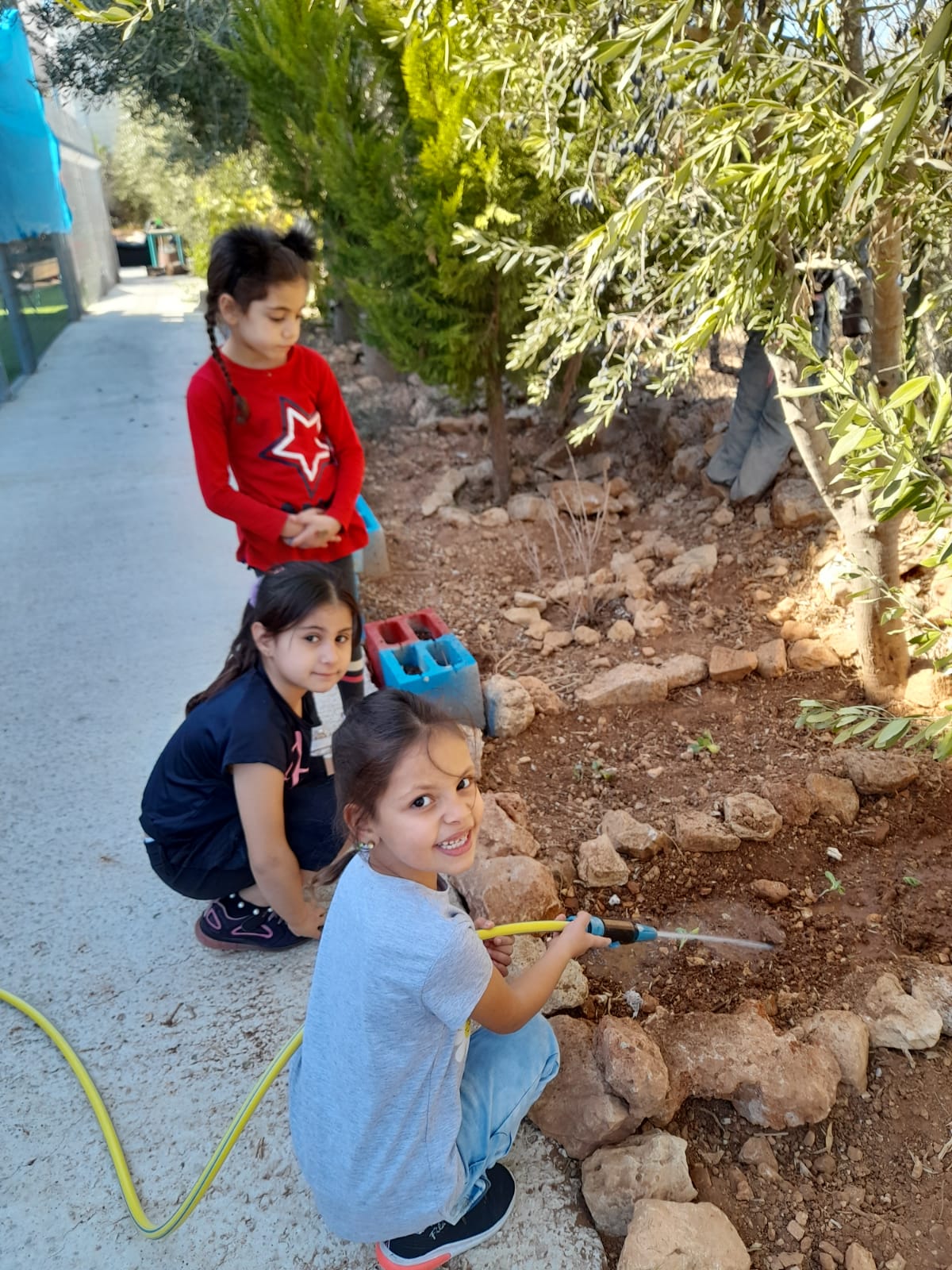 ספר ילדים על פרחי מרפא by shefaa haikal - Illustrated by הילים מנדלים עשבי מרפא  - Ourboox.com