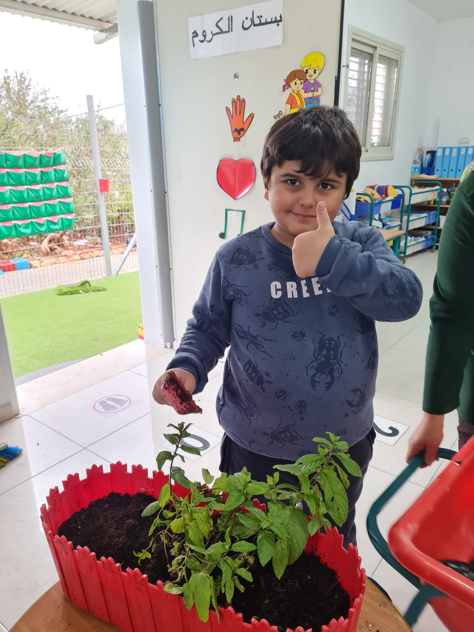 ספר ילדים על פרחי מרפא by shefaa haikal - Illustrated by הילים מנדלים עשבי מרפא  - Ourboox.com