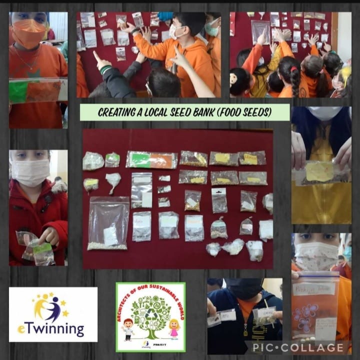 “ARCHITECTS OF OUR SUSTAINABLE WORLD” PROJECT DECEMBER E-BOOK STUDY by İsmail ÇİÇEK - Illustrated by eTwinning project - Ourboox.com