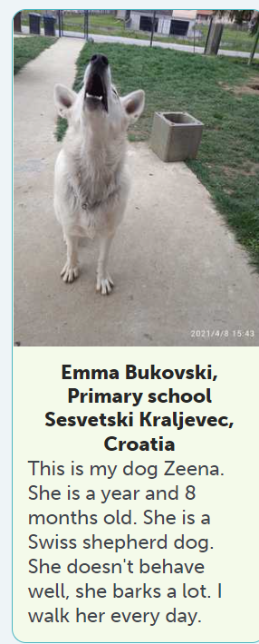 eTwinning Project 4 by AnitaDamjanovic - Ourboox.com