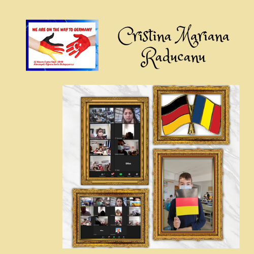 A TRAVELER ON THE BLUE PLANET by Cristina Mariana Răducanu - Ourboox.com