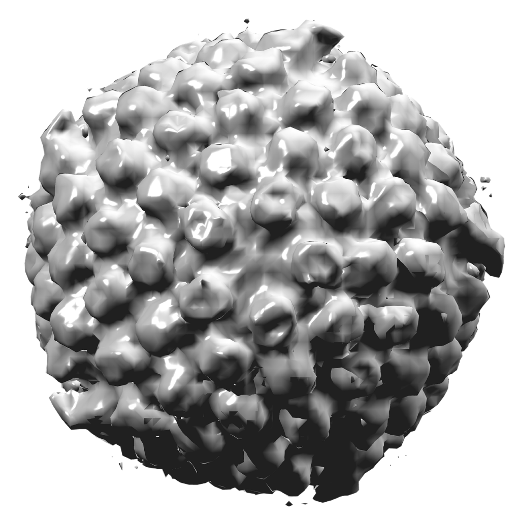 La materia e le cose che abbiamo imparato by Terza A. - Illustrated by Carlotz - Ourboox.com