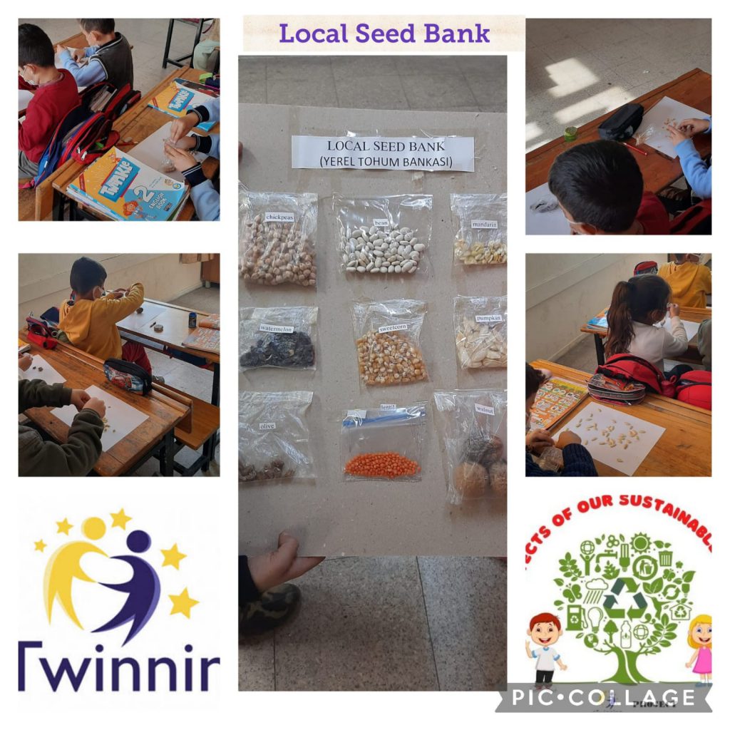 “ARCHITECTS OF OUR SUSTAINABLE WORLD” PROJECT DECEMBER E-BOOK STUDY by İsmail ÇİÇEK - Illustrated by eTwinning project - Ourboox.com