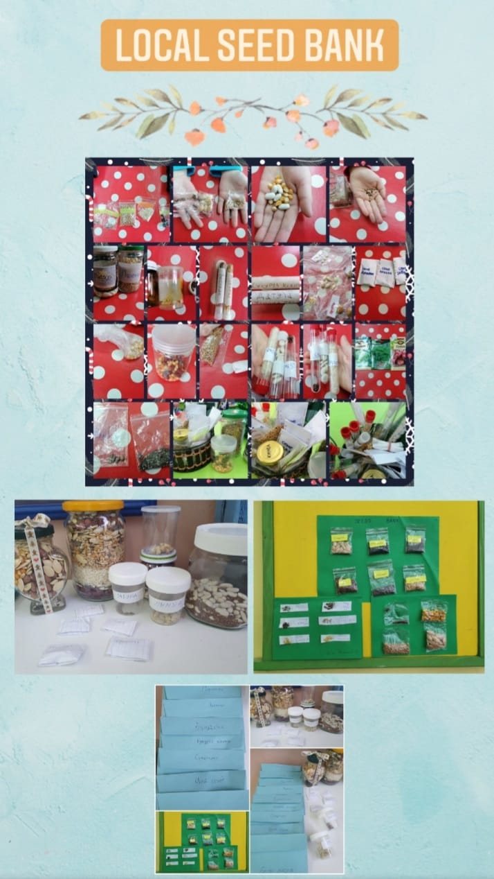 “ARCHITECTS OF OUR SUSTAINABLE WORLD” PROJECT DECEMBER E-BOOK STUDY by İsmail ÇİÇEK - Illustrated by eTwinning project - Ourboox.com