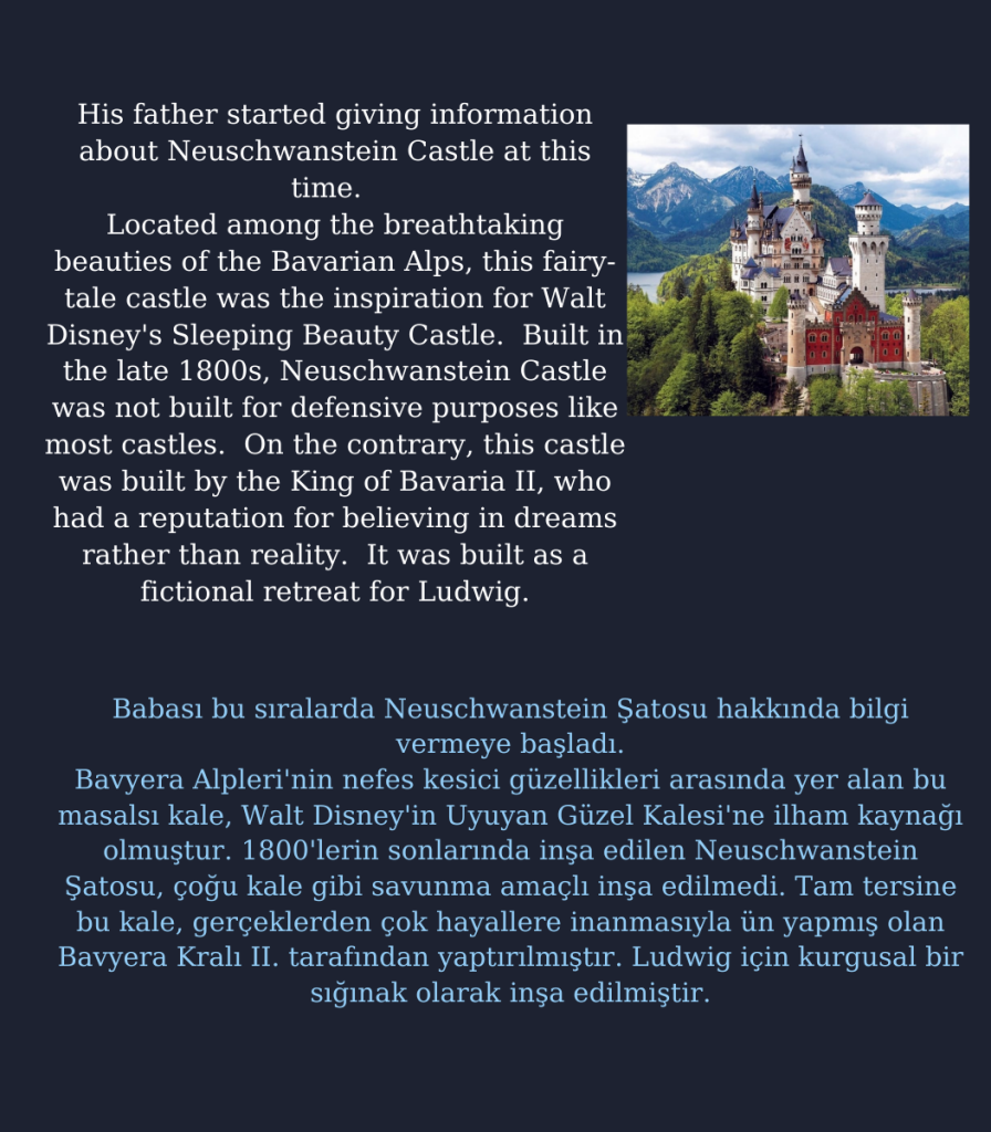 A traveler on the blue planet by Cristina Mariana Răducanu - Illustrated by Cristina Mariana Răducanu - Ourboox.com