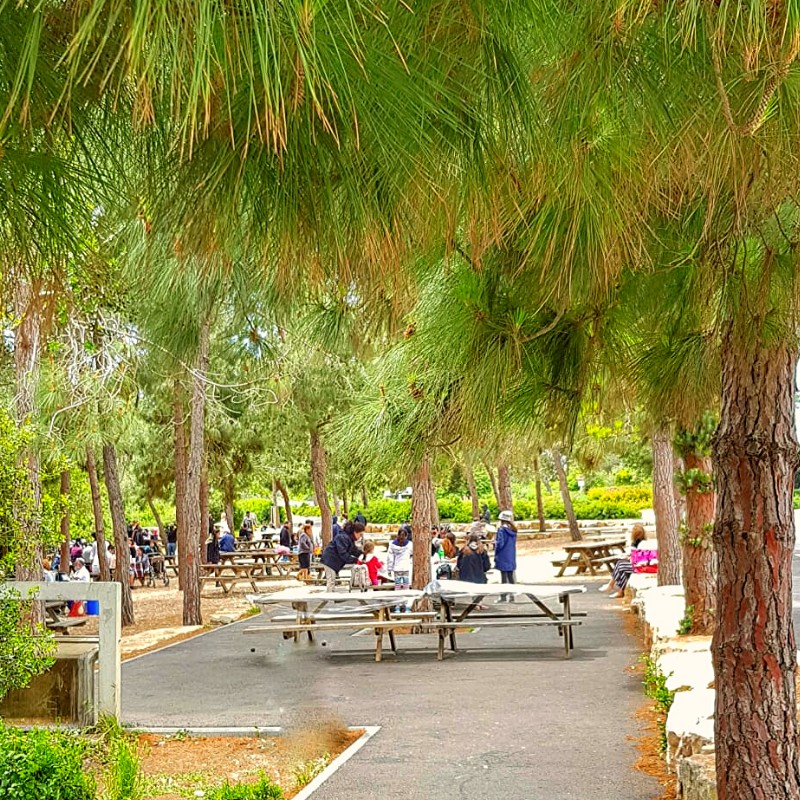 Our School Trip by Shaked - Illustrated by Vanessa & Shaked - Ourboox.com