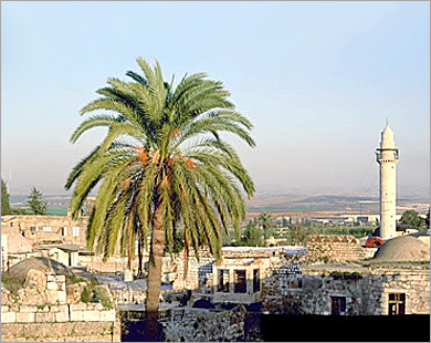 ramla city by Mahmoud Zatari - Illustrated by mahmoud zatari - Ourboox.com