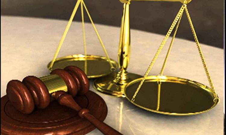 The Pelican Brief by jwad narani - Ourboox.com