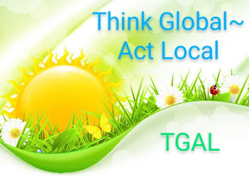 E- Waste Project Scale