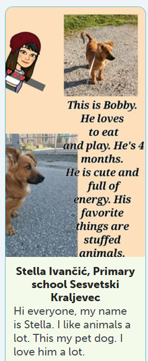 eTwinning Project 4 by AnitaDamjanovic - Ourboox.com