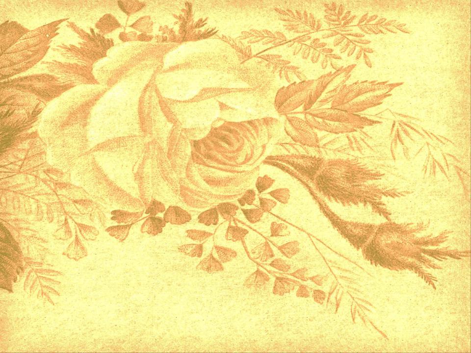 Епоха Відродження та її представники by Illya Ulytskyi - Ourboox.com