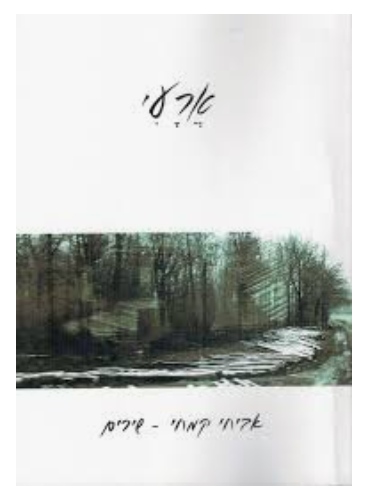 עטיפת הספר ארעי