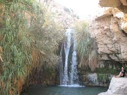 THE NEGEV by amirpinian - Illustrated by Michalo and amir  - Ourboox.com