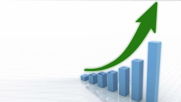 המדריך למושגים פיננסים בסיסיים by Shir Sela - Illustrated by שיר סלע ונטלי פורמן - Ourboox.com