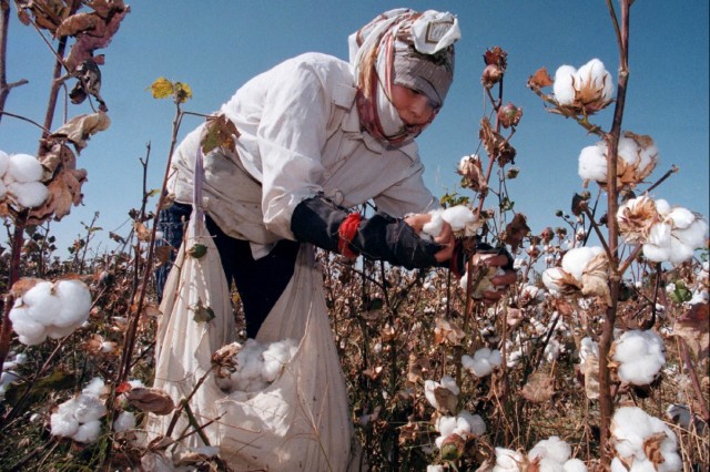 Природни зони by Preslav Peychev - Ourboox.com