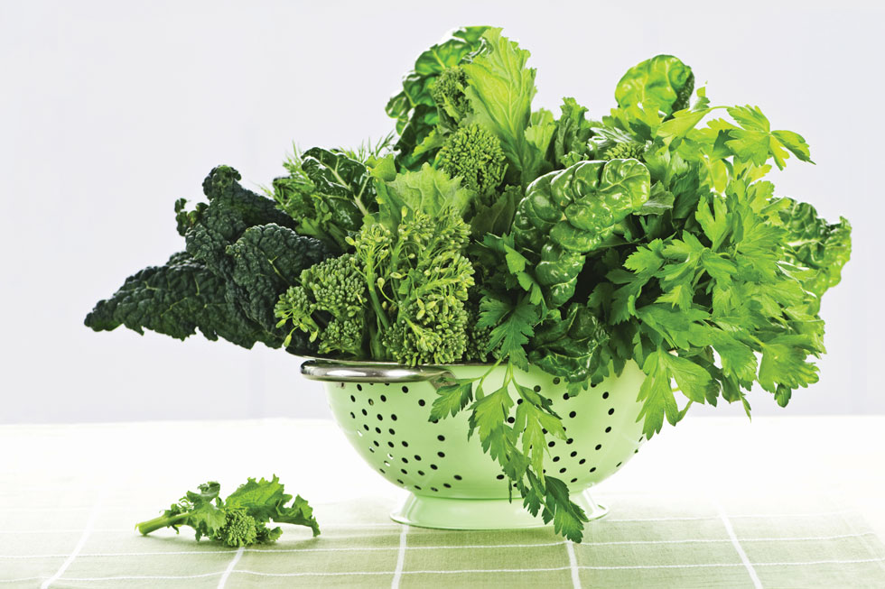 בריאות בצבעים by Aviya Kandel - Illustrated by אביה קנדל - Ourboox.com