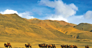 Природни зони – II част by Preslav Peychev - Ourboox.com