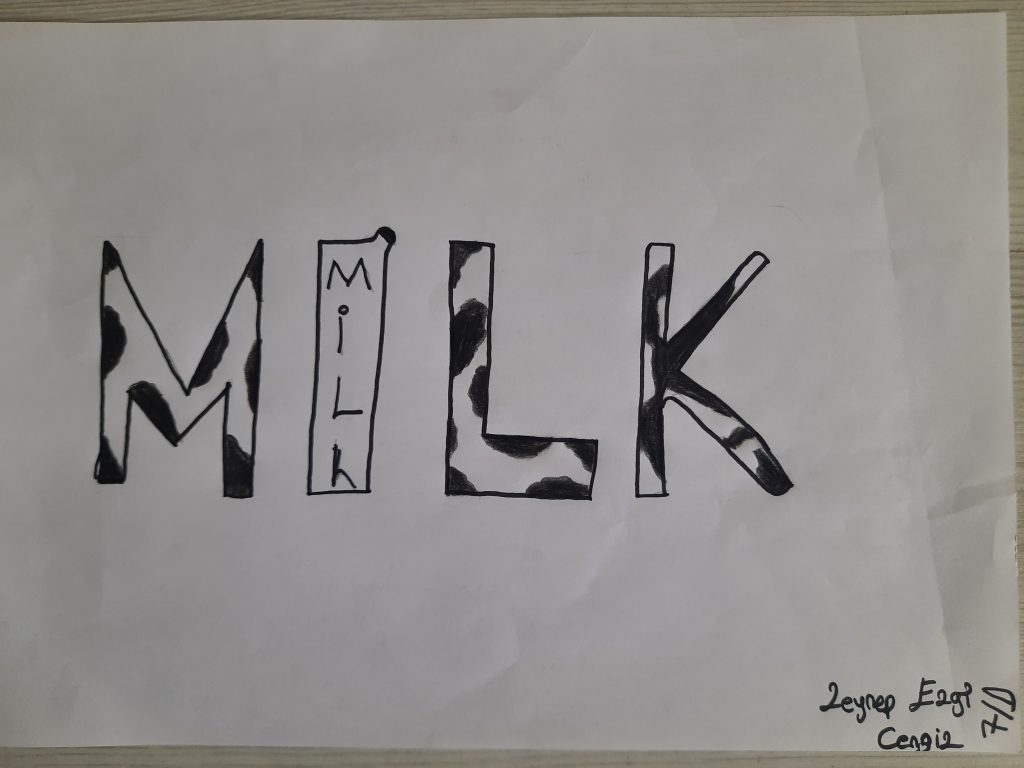 VISUAL WORDS by NUREL ENVER TANER SECONDARY SCHOOL - Illustrated by MR. DARCIN - Ourboox.com