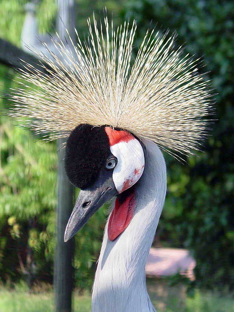 Природни зони by Preslav Peychev - Ourboox.com