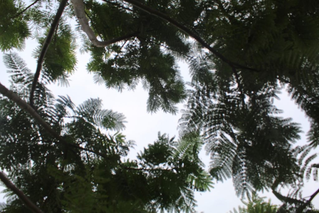 خارج الصندوق by raseel elawe - Illustrated by رسيل علاوي - Ourboox.com