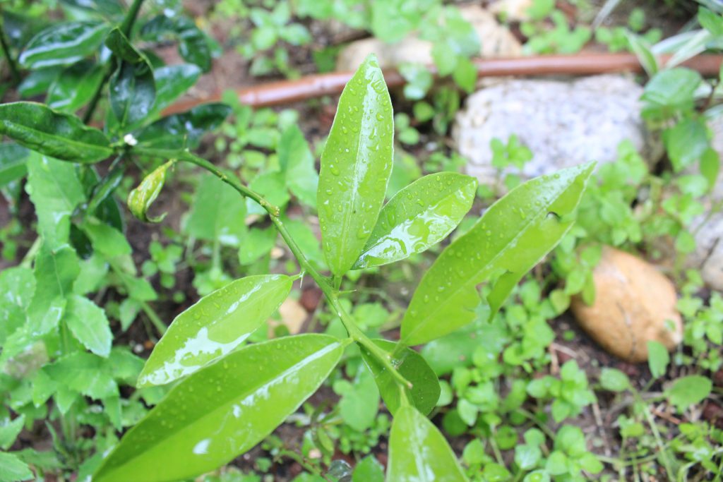 خارج الصندوق by raseel elawe - Illustrated by رسيل علاوي - Ourboox.com