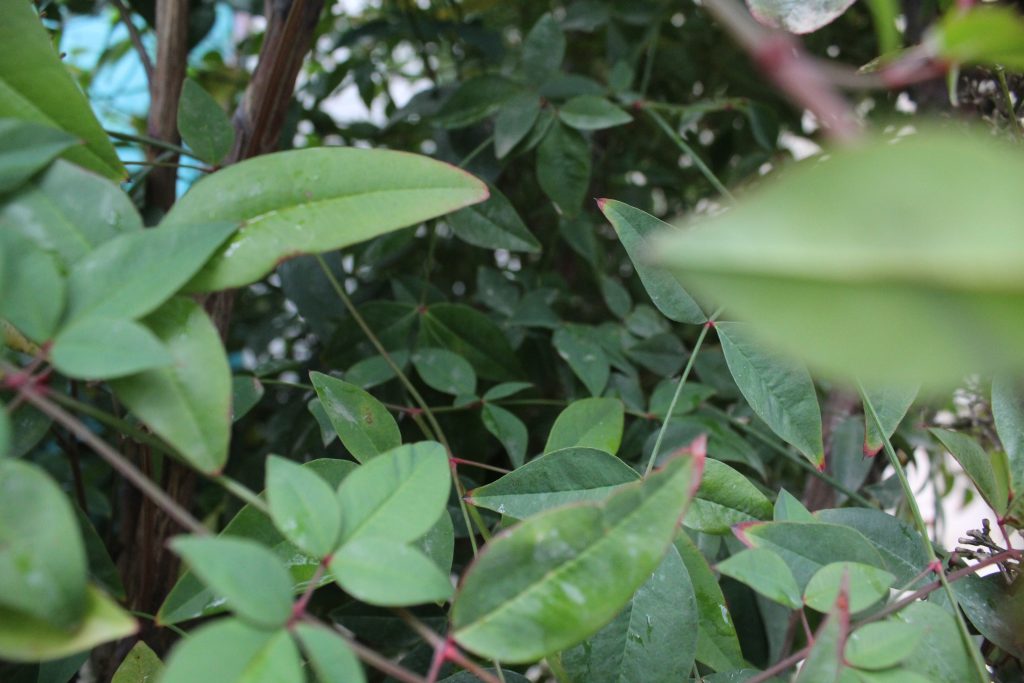 خارج الصندوق by raseel elawe - Illustrated by رسيل علاوي - Ourboox.com