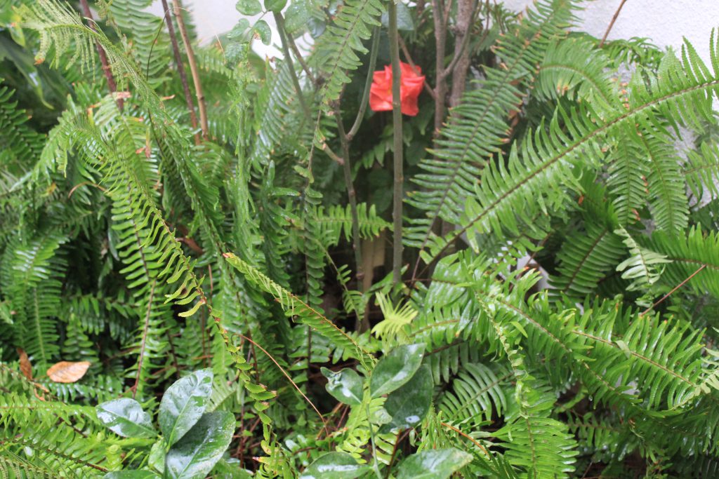 خارج الصندوق by raseel elawe - Illustrated by رسيل علاوي - Ourboox.com