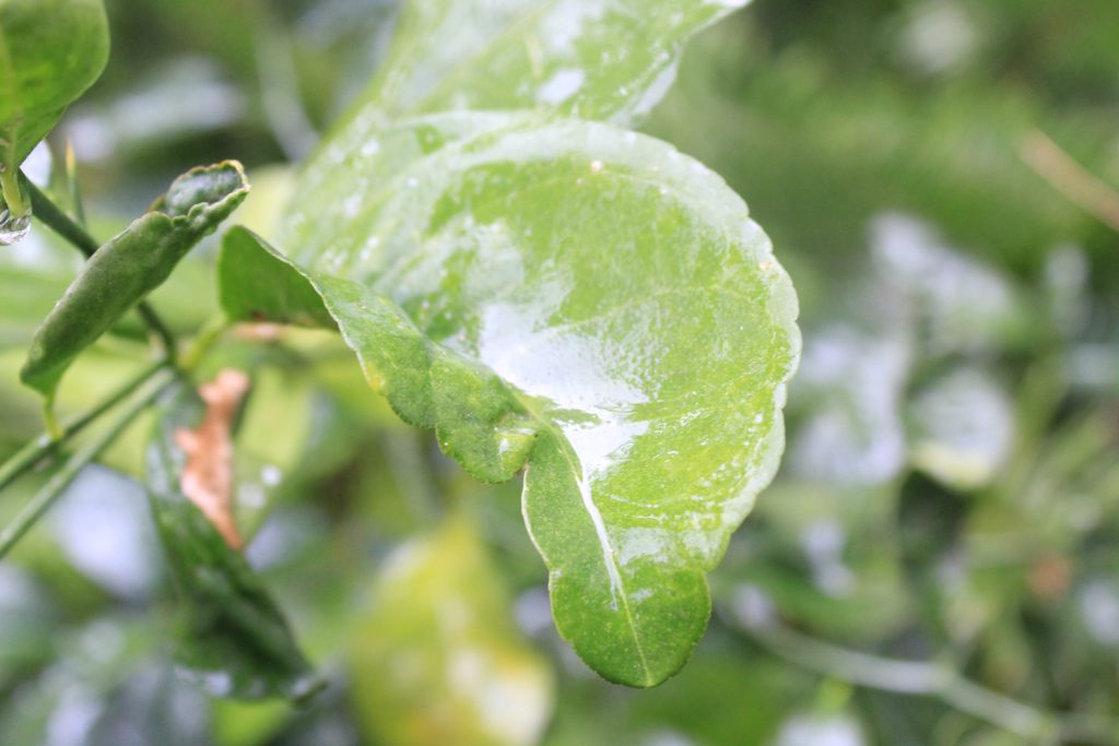 خارج الصندوق by raseel elawe - Illustrated by رسيل علاوي - Ourboox.com