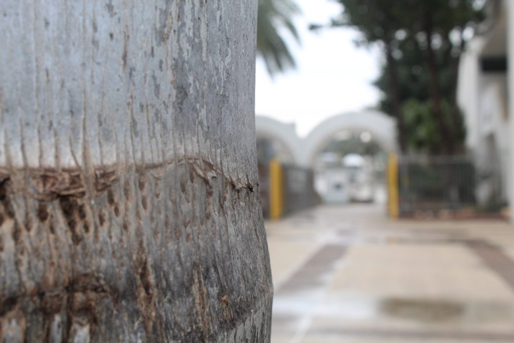 خارج الصندوق by raseel elawe - Illustrated by رسيل علاوي - Ourboox.com