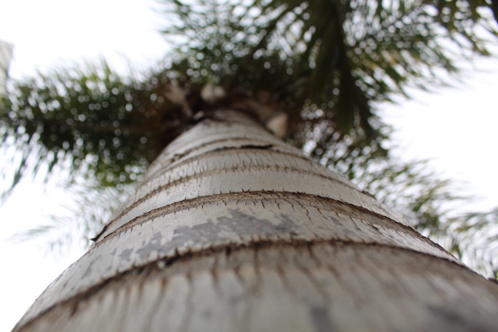 خارج الصندوق by raseel elawe - Illustrated by رسيل علاوي - Ourboox.com