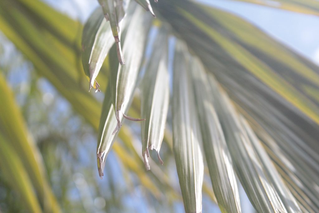 خارج الصندوق by raseel elawe - Illustrated by رسيل علاوي - Ourboox.com