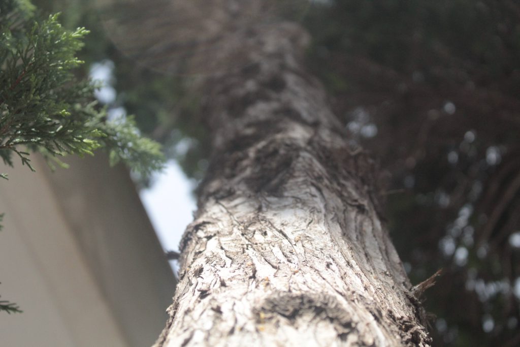 خارج الصندوق by raseel elawe - Illustrated by رسيل علاوي - Ourboox.com