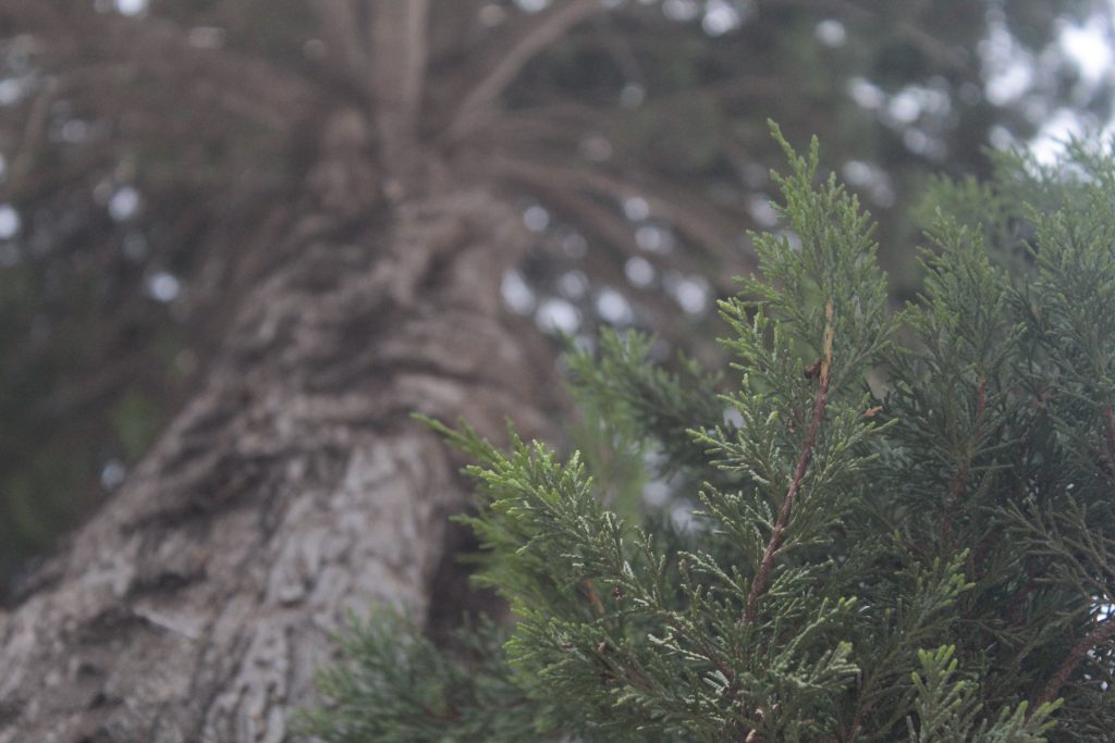 خارج الصندوق by raseel elawe - Illustrated by رسيل علاوي - Ourboox.com