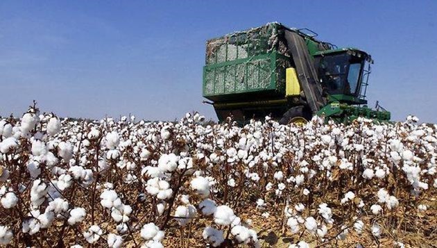 Природни зони by Preslav Peychev - Ourboox.com