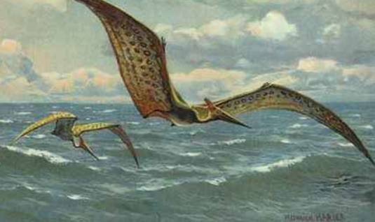 I DINOSAURI by Terza B. - Illustrated by Sofia Thandapani - Ourboox.com