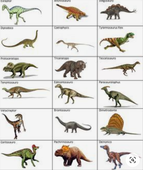 I DINOSAURI by Terza B. - Illustrated by Sofia Thandapani - Ourboox.com