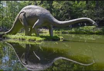 I DINOSAURI by Terza B. - Illustrated by Sofia Thandapani - Ourboox.com