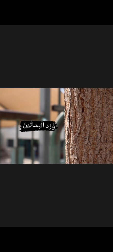 ورد البساتين by yaqeen bydosi - Illustrated by يقين بيدوسي  - Ourboox.com