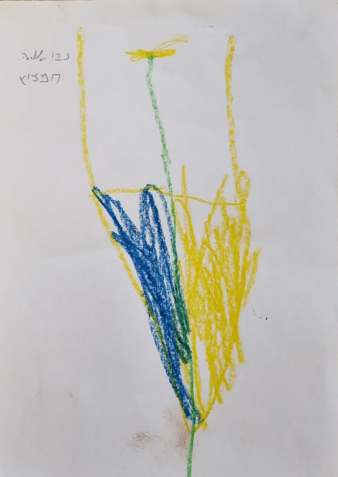 ילדי גן כלנית תיעוד בטבע by liron yogev - Ourboox.com