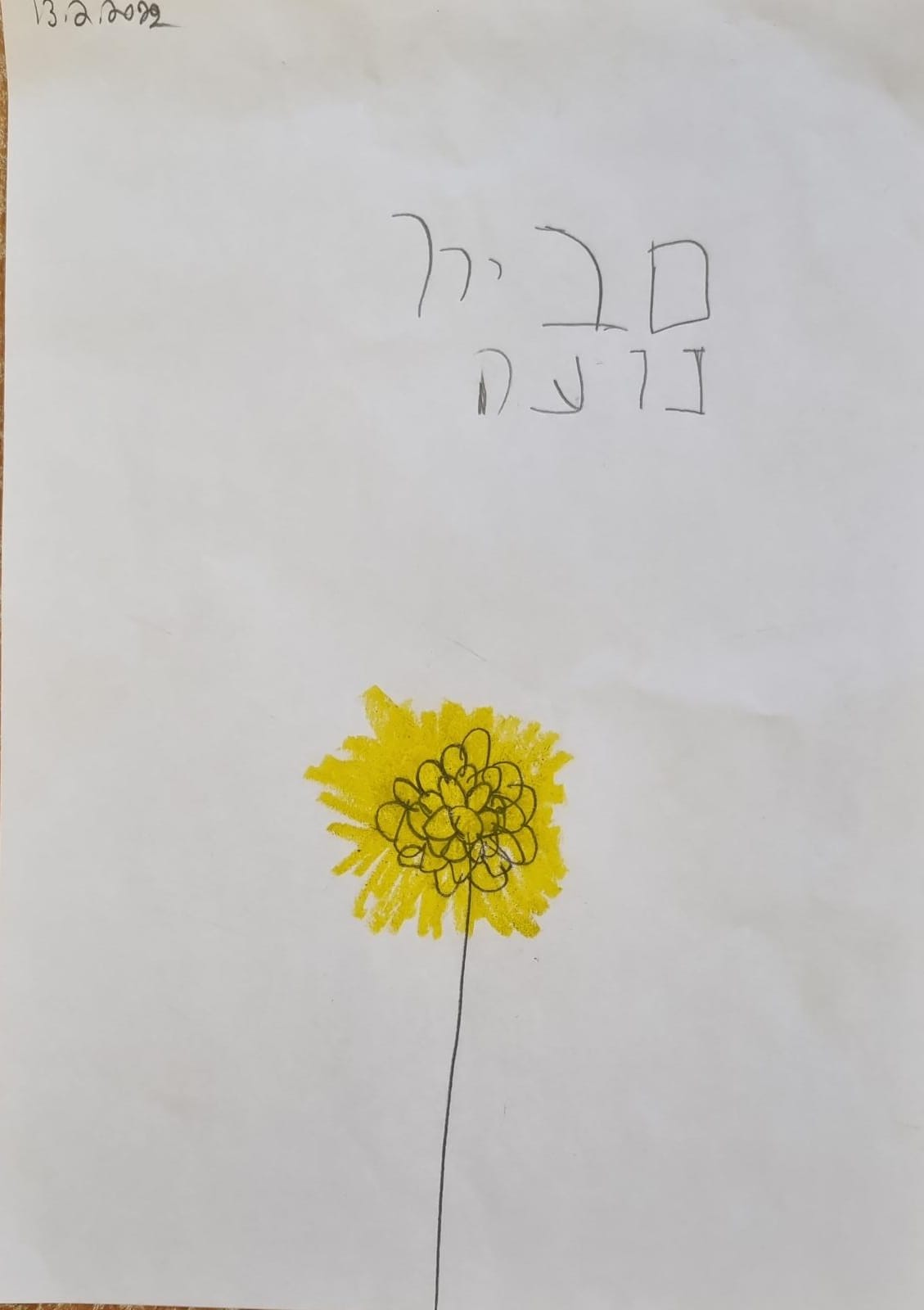 ילדי גן כלנית תיעוד בטבע by liron yogev - Ourboox.com