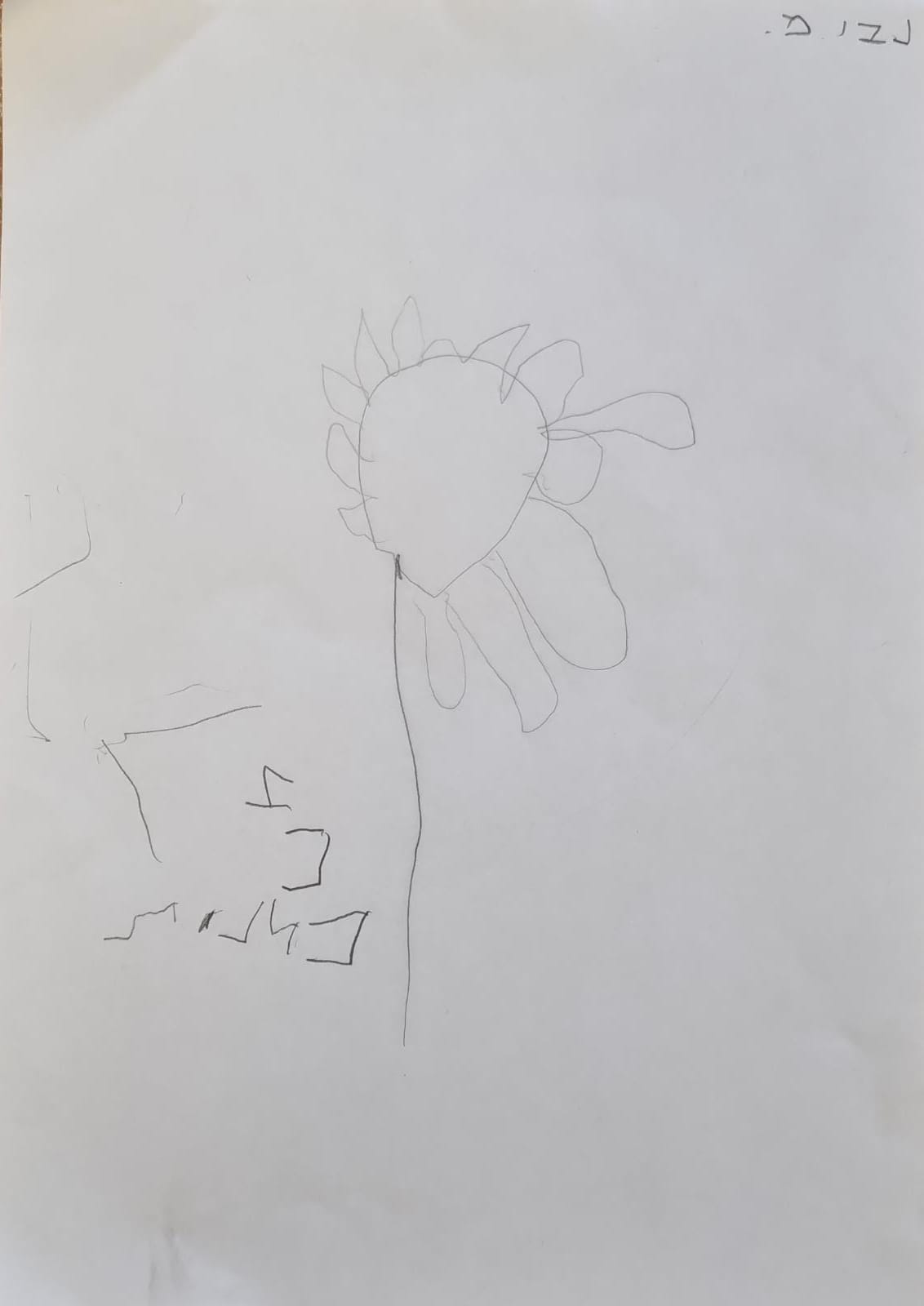 ילדי גן כלנית תיעוד בטבע by liron yogev - Ourboox.com