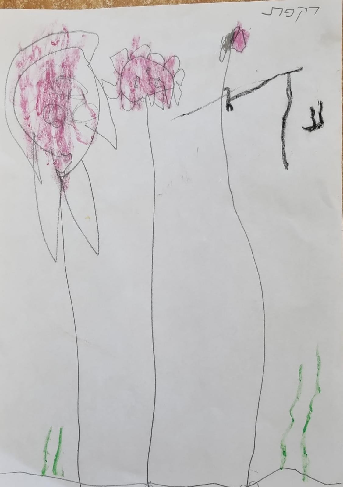 ילדי גן כלנית תיעוד בטבע by liron yogev - Ourboox.com