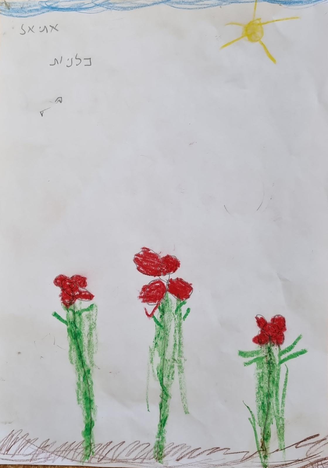 ילדי גן כלנית תיעוד בטבע by liron yogev - Ourboox.com