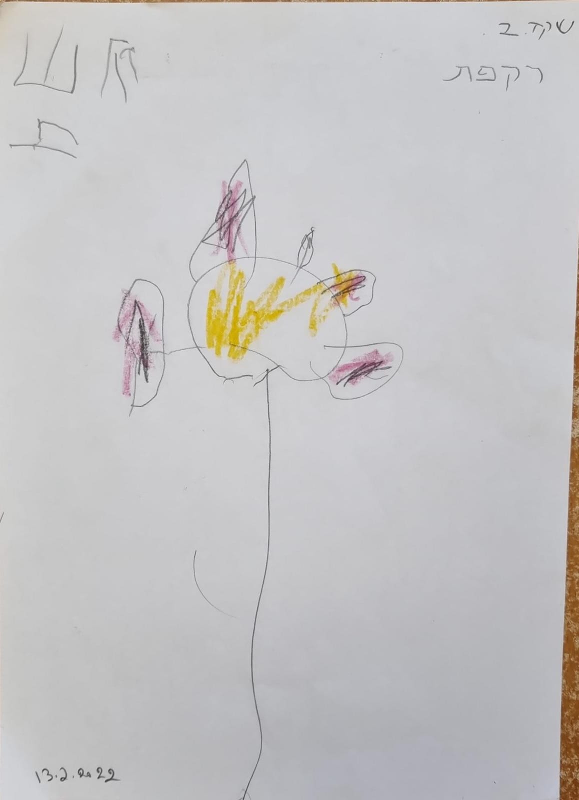 ילדי גן כלנית תיעוד בטבע by liron yogev - Ourboox.com