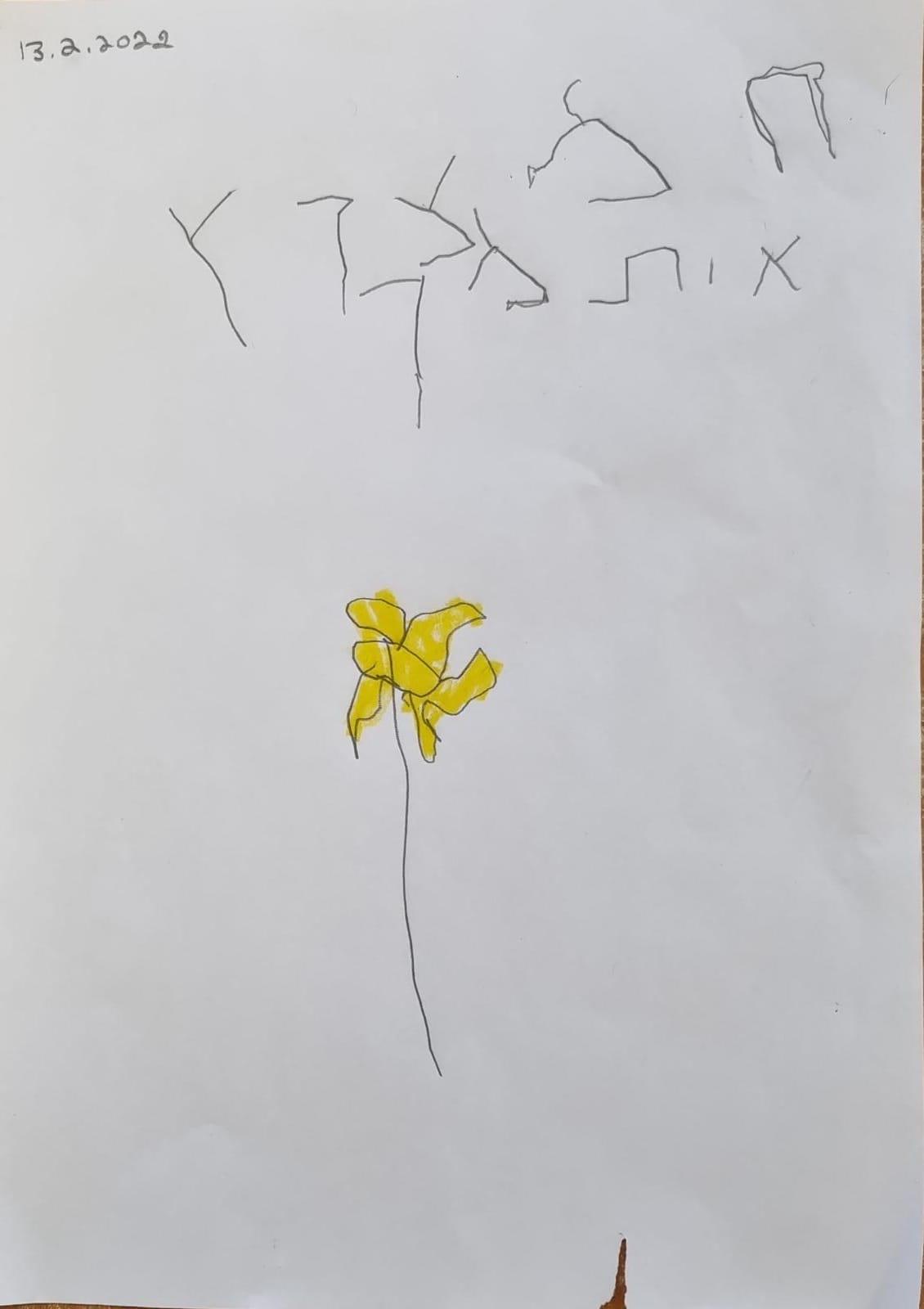 ילדי גן כלנית תיעוד בטבע by liron yogev - Ourboox.com